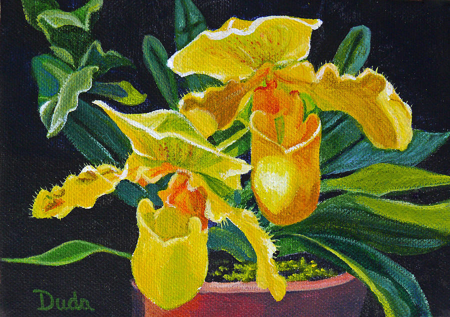 Yellow Lady Slippers Painting by Susan Duda