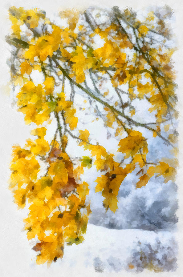 Yellow leaves in fall - early winter brings the first snow - digital aquarell painting Photograph by Matthias Hauser