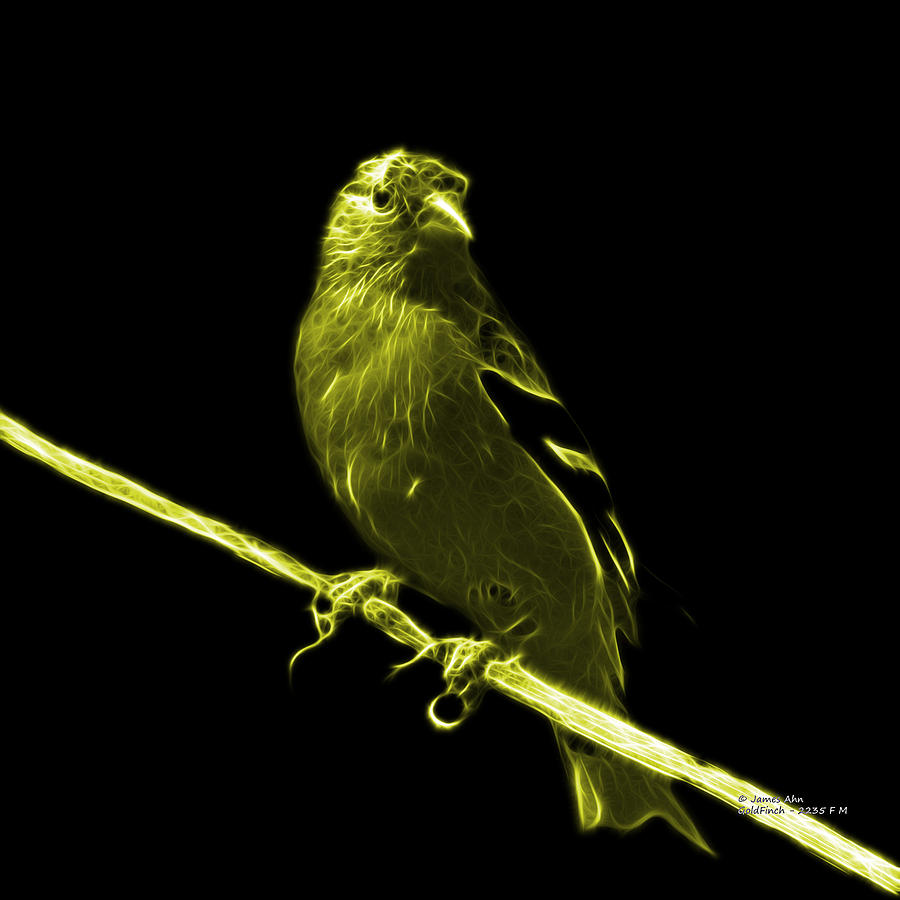 Yellow Lesser Goldfinch - 2235 F Digital Art by James Ahn