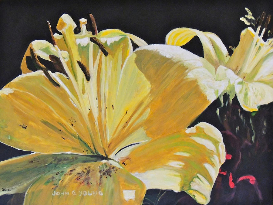 Yellow Lilies Painting by Jgyoungmd Aka John G Young MD