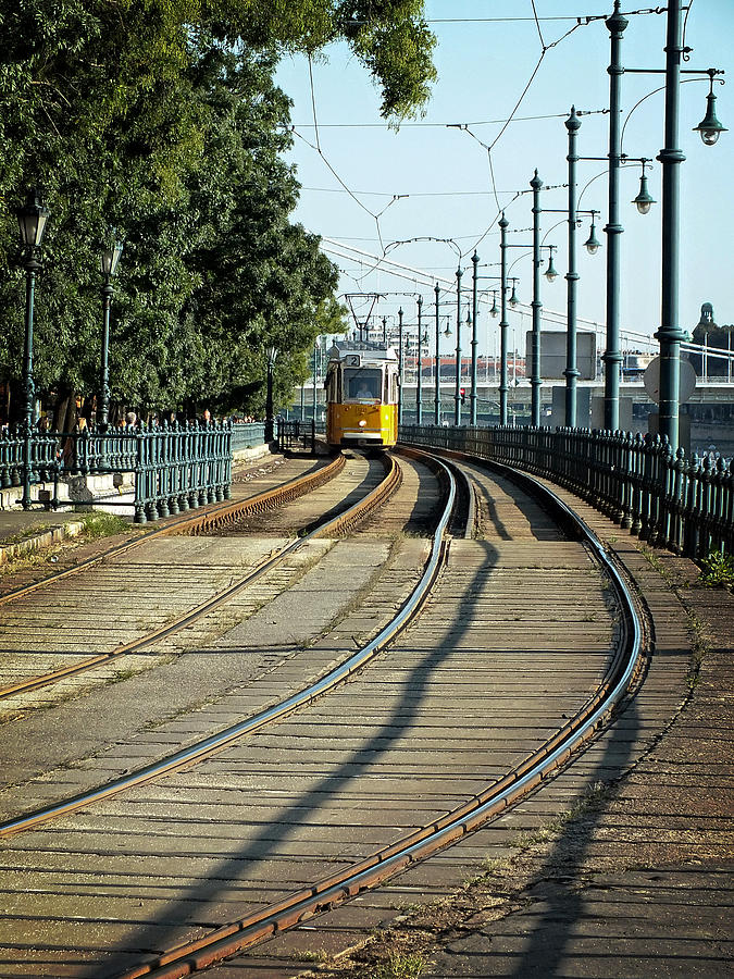 Yellow Line - Number 2 Photograph by Lucinda Walter