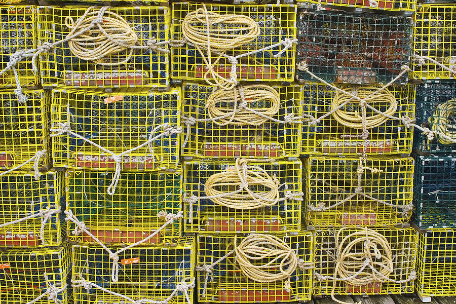 Rope Photograph - Yellow Lobster Traps by Keith Webber Jr