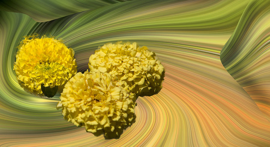 Yellow Marigold Abstract Photograph by Linda Phelps