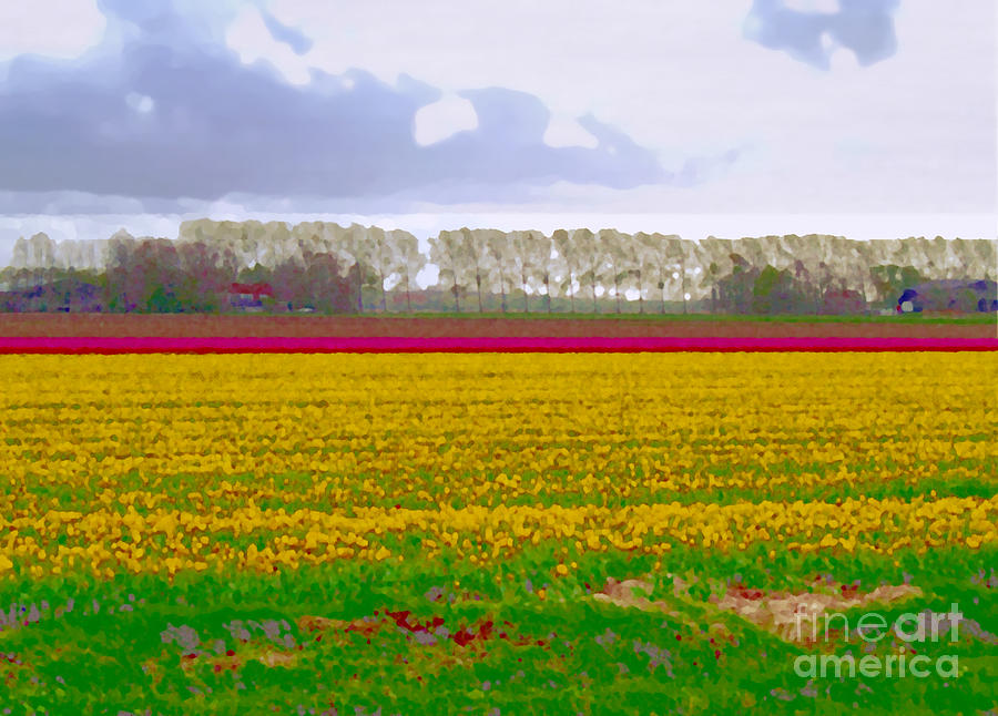 Yellow meadow by Luc Van de Steeg Yellow meadow by Luc Van de Steeg