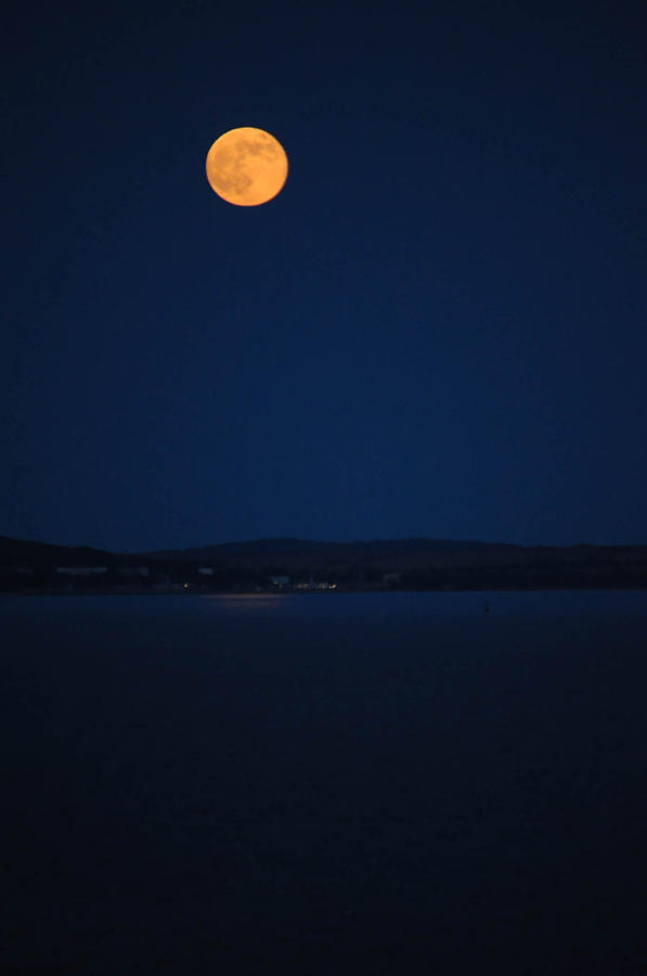 Yellow moon Photograph by Ines Simeonova - Fine Art America