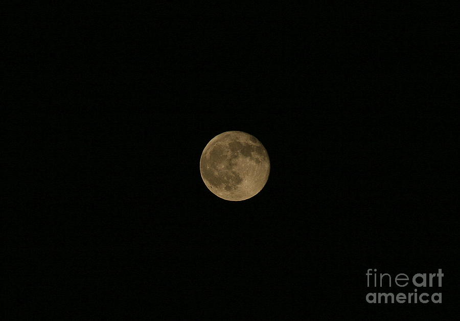 Nature Photograph - Yellow Moon by Neal Eslinger