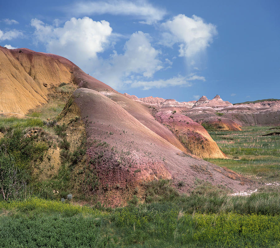 Yellow Mound Paleosols Badlands Photograph by Tim Fitzharris