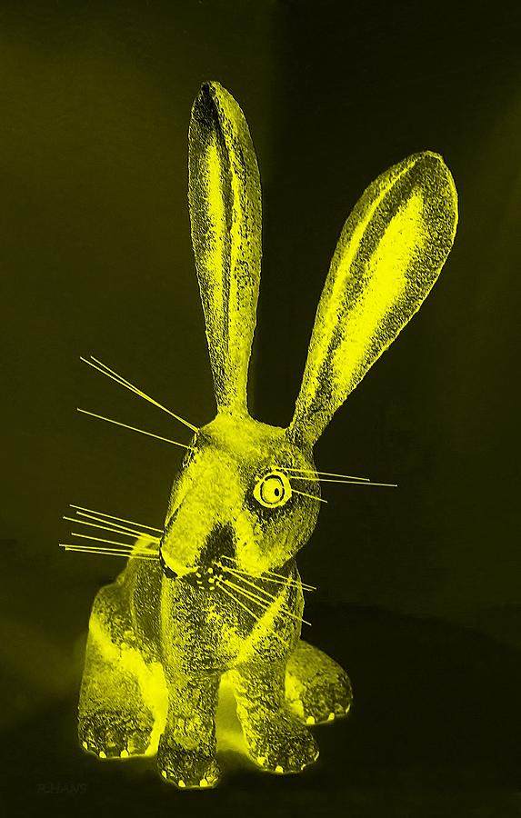 Yellow New Mexico Rabbit Photograph by Rob Hans