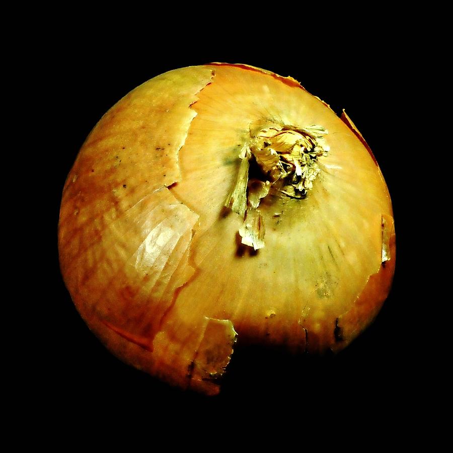 Yellow Onion Photograph by Diana Angstadt