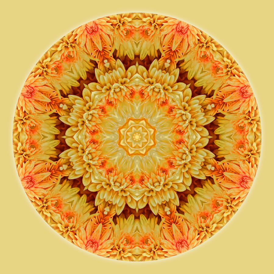 Mum Photograph - Yellow Orange Mum Mandala by Beth Sawickie