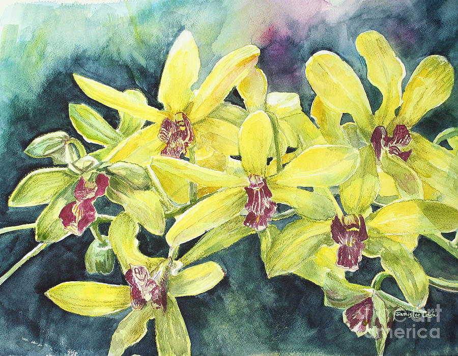 Yellow Orchids Painting by Janis Lee Colon