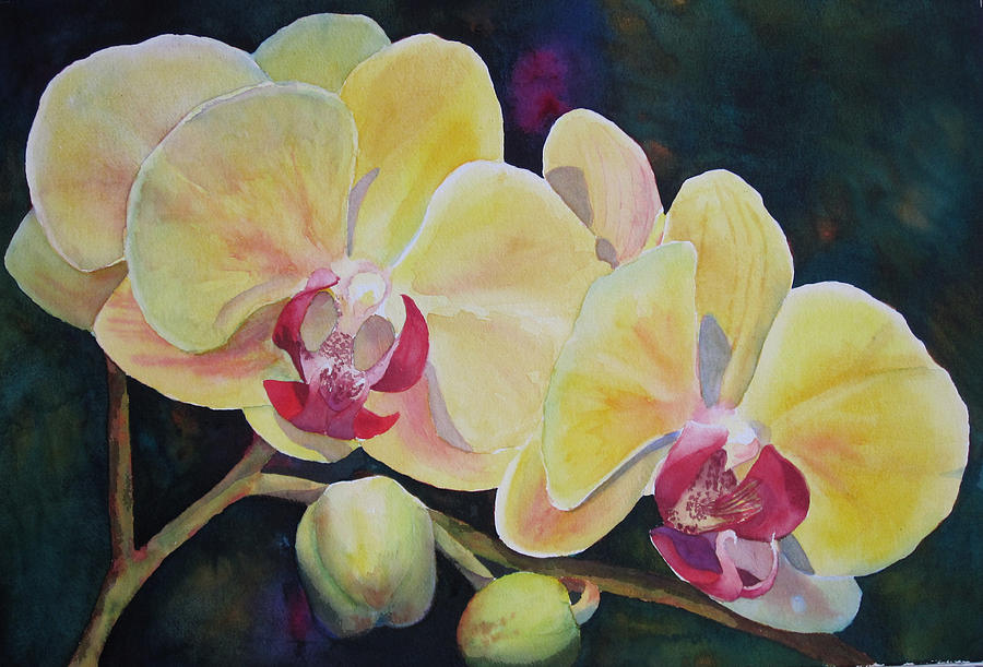 Yellow Orchids Painting by Judy Mercer