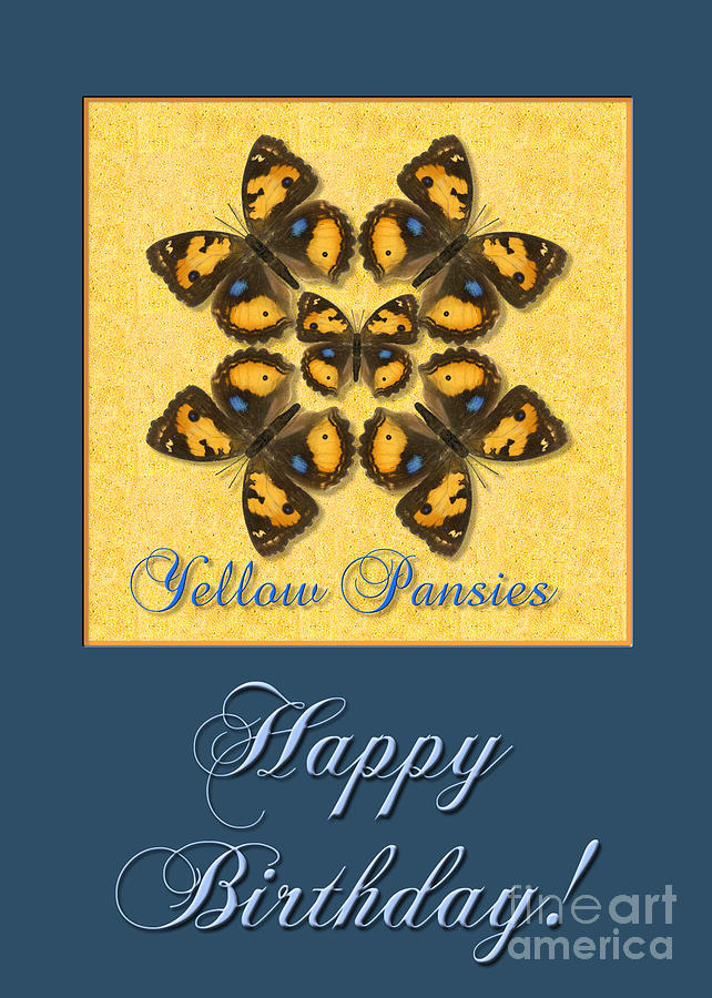 Yellow Pansy Butterfly Birthday Card Photograph by Melissa A Benson