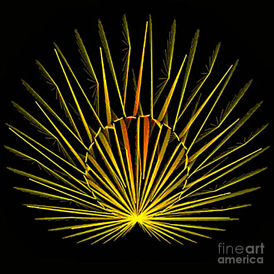 Yellow Peacock Digital Art by Kip Vidrine