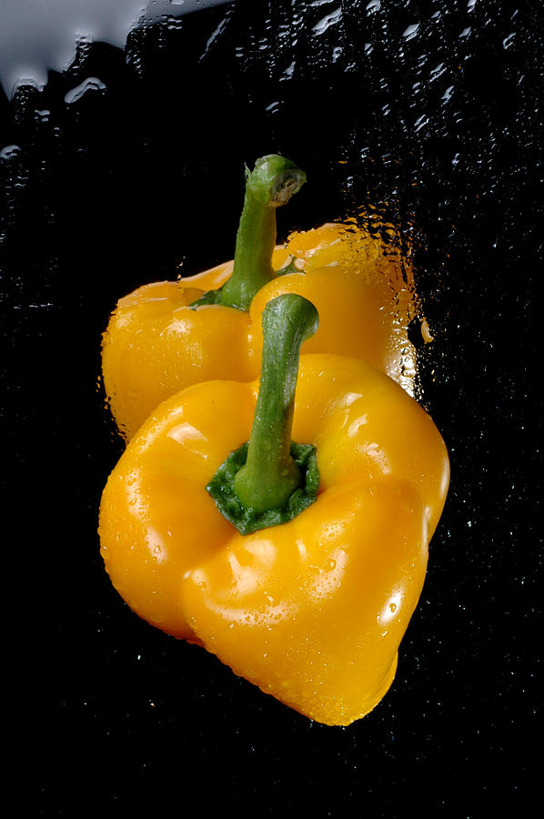 Yellow Pepper Photograph by Kevin Cable