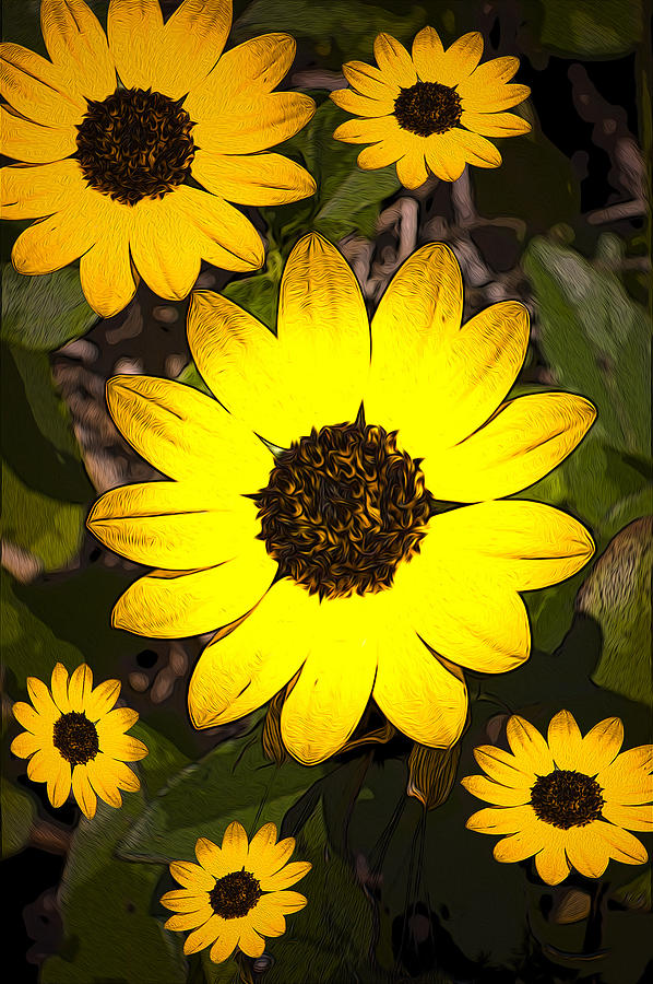 Yellow Petals Photograph by Jerry Hart