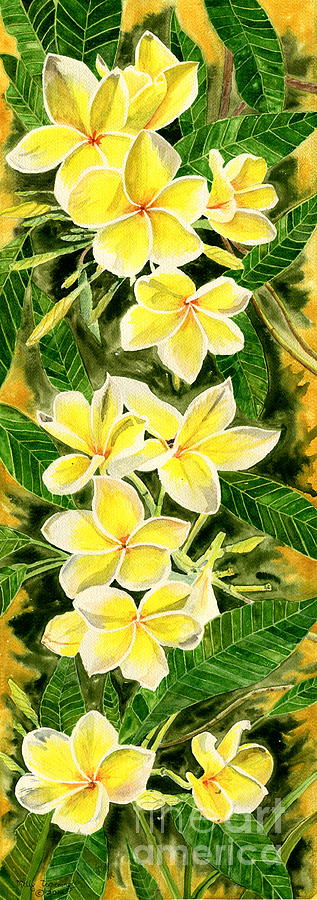 Yellow Plumeria Painting by Melly Terpening
