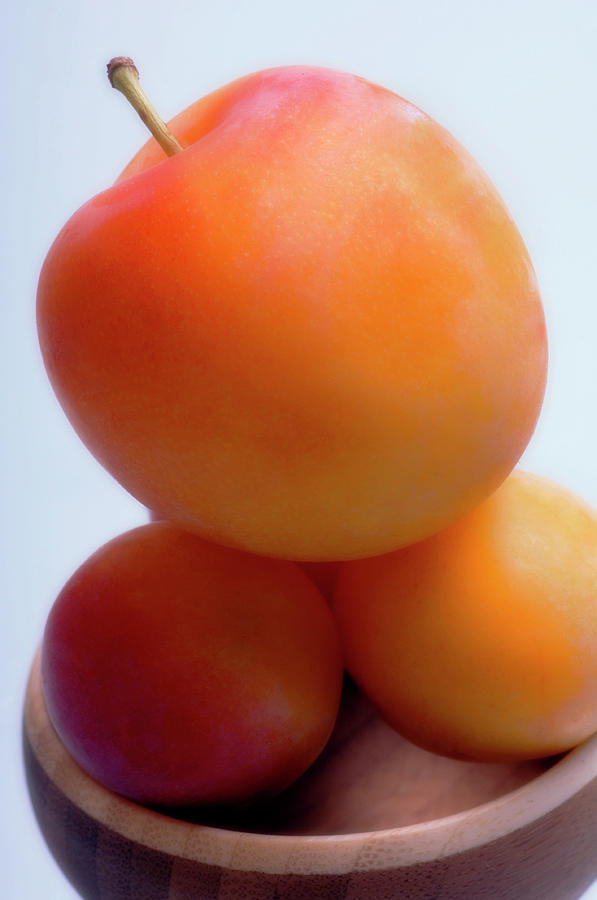 Yellow Plums (prunus Hybrid) Photograph by Maria Mosolova/science Photo Library