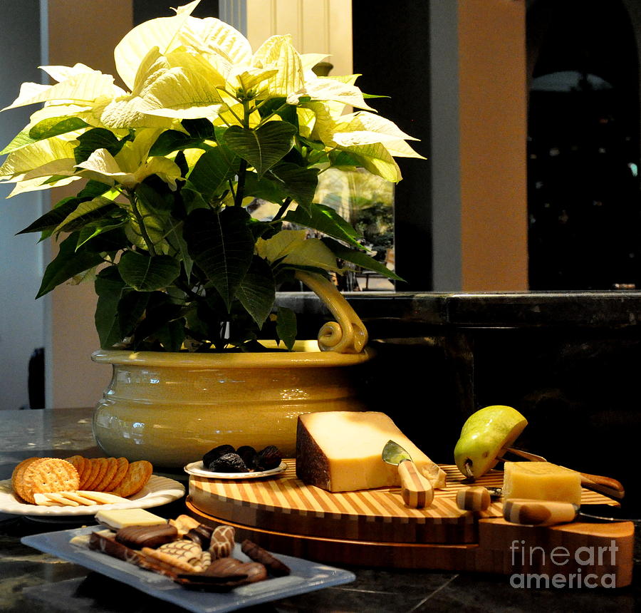 Yellow Poinsettia And Cheeses Photograph by Tatyana Searcy