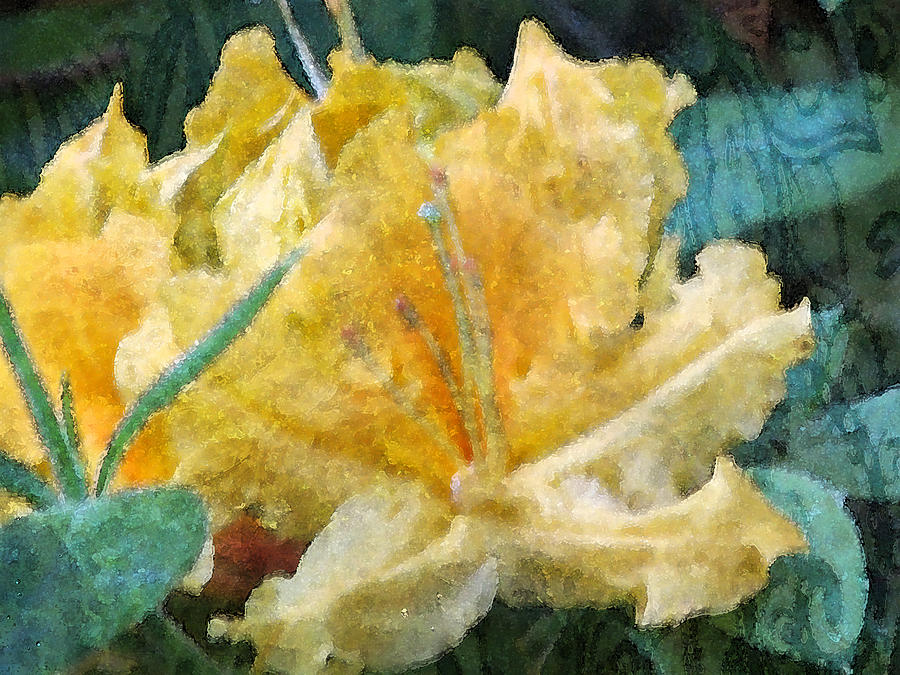 Yellow Rhododendron with Texture Photograph by Marie Jamieson