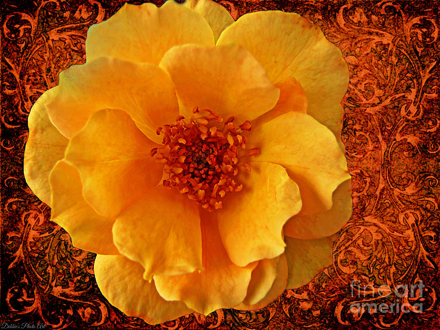 Yellow Rose 7 Photograph by Debbie Portwood