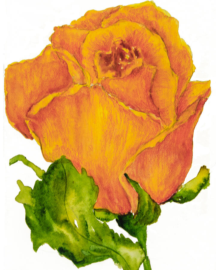 Yellow Rose Bud Painting by Sally Quillin