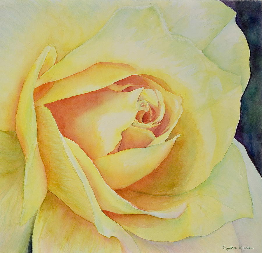 Yellow Rose Painting by Cynthia Klassen