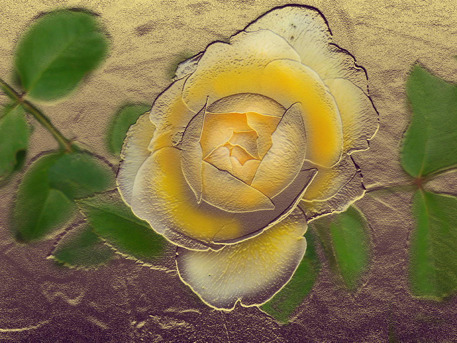 Yellow Rose Gold Leaf Digital Art