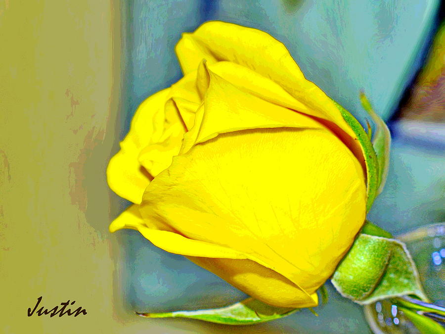 Yellow Rose by Iustin Cret Yellow Rose by Iustin Cret