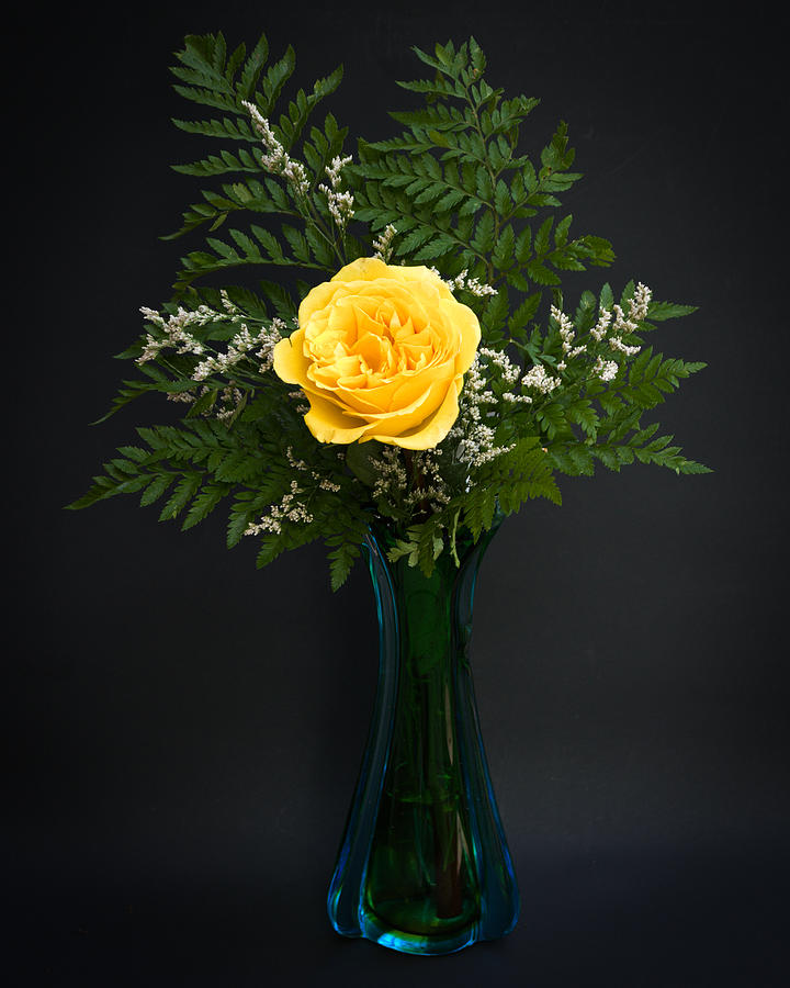 Yellow Rose Photograph by Kenneth Cole