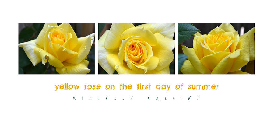 Yellow Rose on the First Day of Summer Photograph by Michelle Calkins