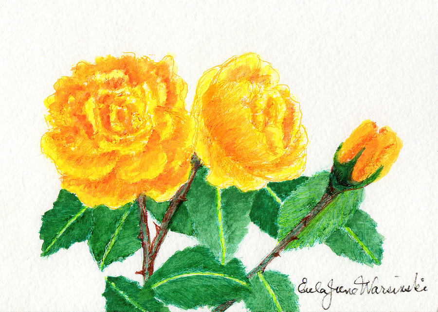 Yellow Roses Drawing by Eula June Warsinski