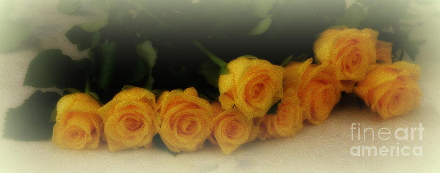 Yellow Roses Photograph by Lainie Wrightson