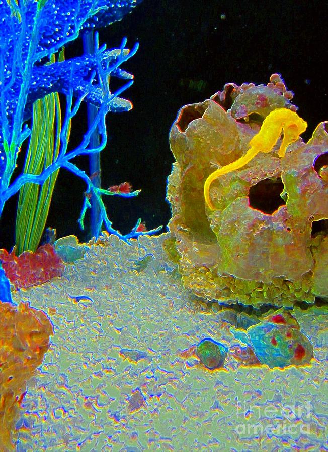 Yellow Seahorse - Aquarium Photograph by Susan Carella