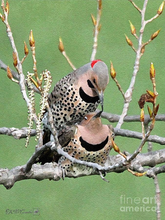 Yellow-Shafted Northern Flickers Painting by J McCombie
