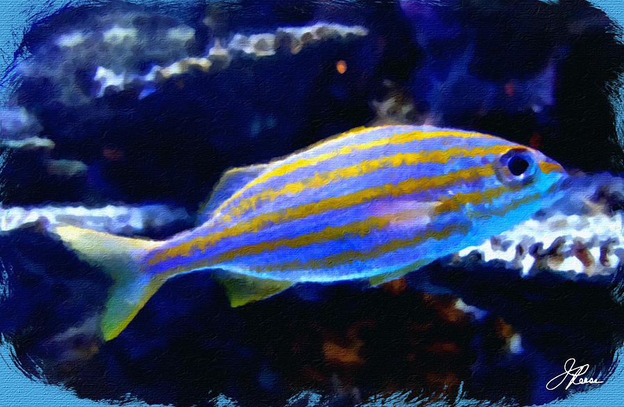 Yellow Striped Fish Painting by Joan Reese
