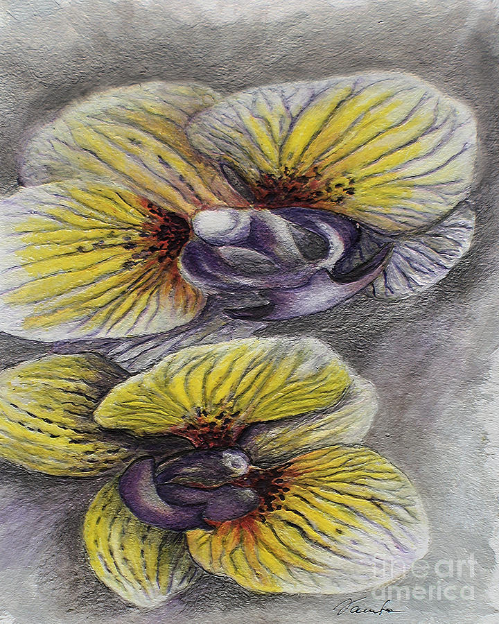 Yellow stripped orchids Painting by Danuta Bennett
