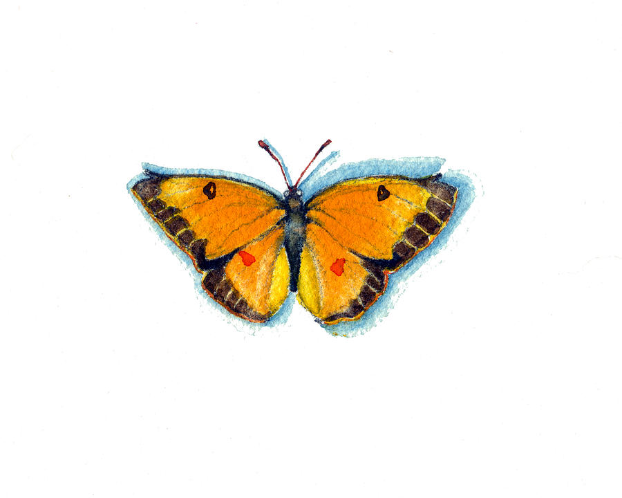 Yellow Sulphur Painting by Katherine Miller