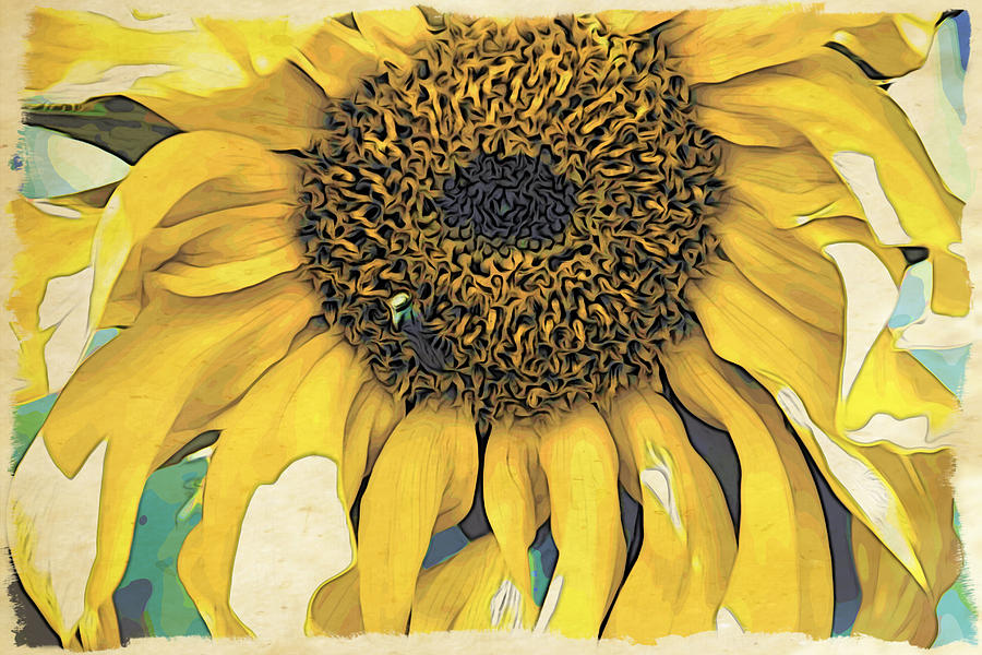 Yellow Sunflower Photograph by Alice Gipson