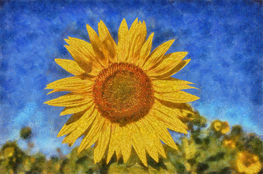 Yellow Sunflower Digital Art by Roy Pedersen