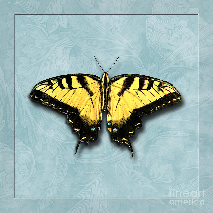 Yellow Swallowtail on Blue Digital Art by Deborah Smith