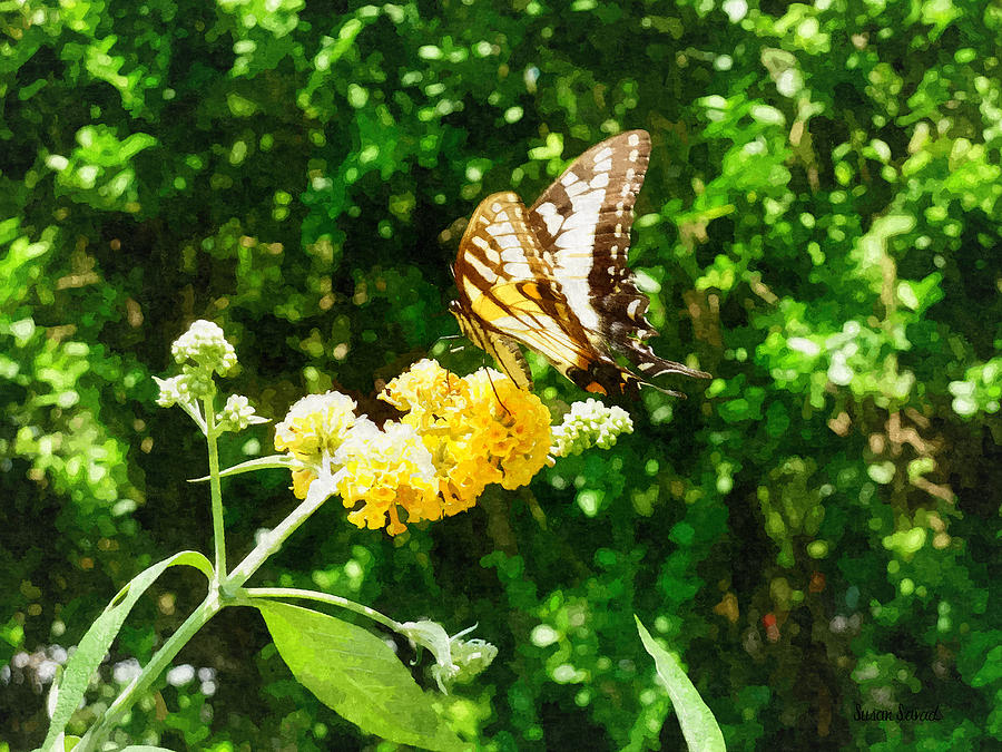 Butterfly Photograph - Yellow Swallowtail on Yellow Lantana by Susan Savad