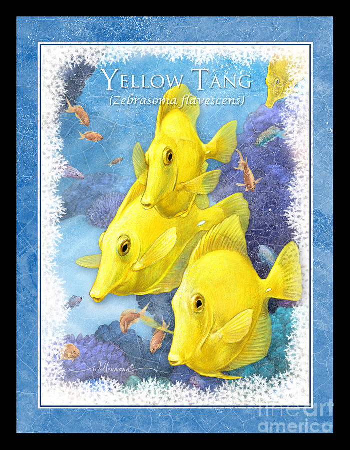 Yellow Tang Digital Art by Randy Wollenmann