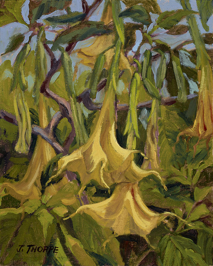 Flower Painting - Yellow Trumpets by Jane Thorpe