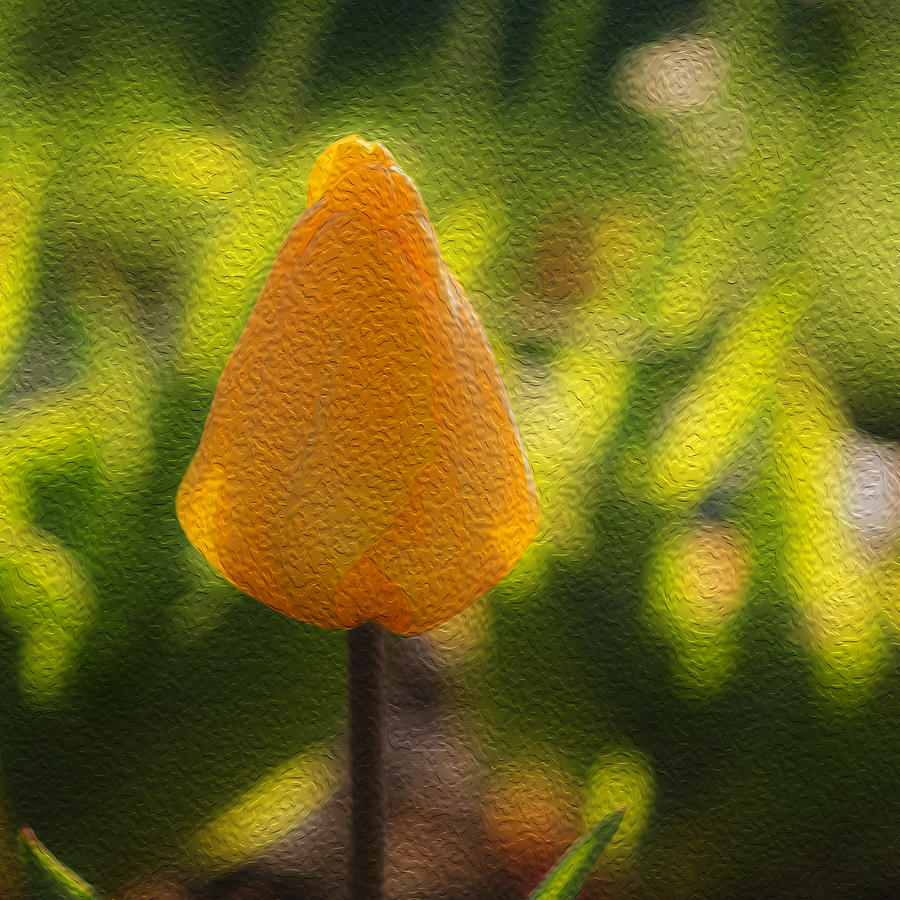 Yellow Tulip Digital Oil Painting Photograph by Vishwanath Bhat