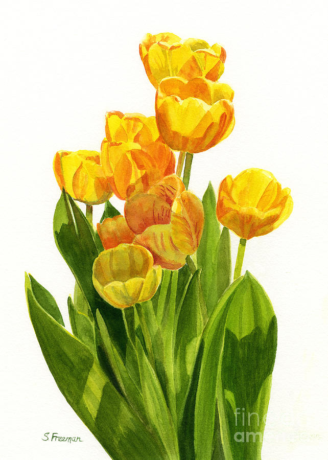 Tulip Painting - Yellow Tulips in the Sun by Sharon Freeman