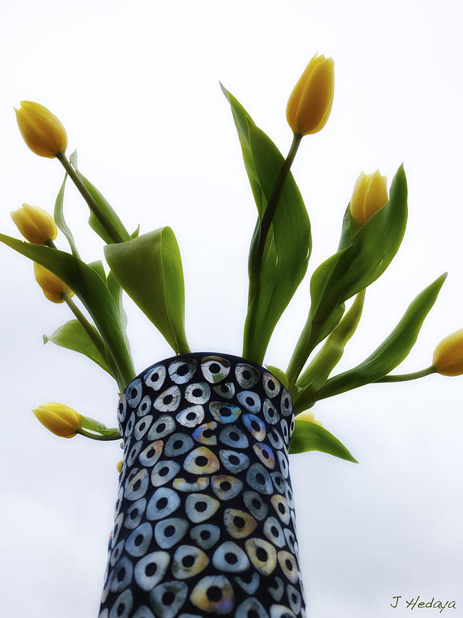 Yellow Tulips In Vase Photograph by Joseph Hedaya