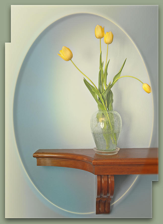 Yellow Tulips Photograph by John Anderson