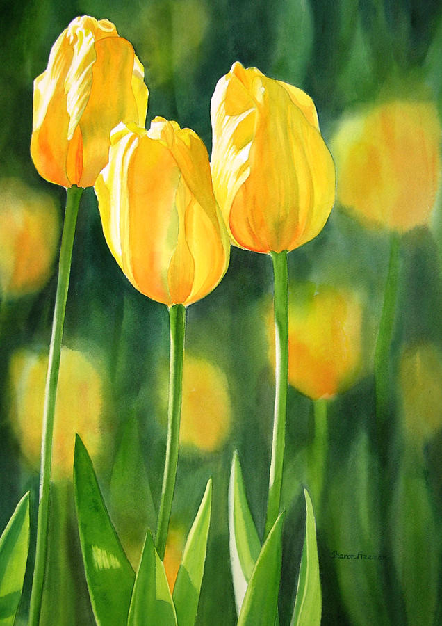 Yellow Tulips Painting by Sharon Freeman