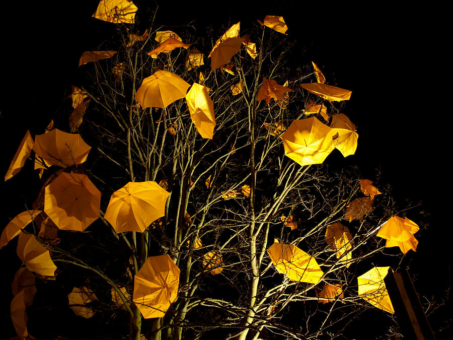 London Photograph - Yellow Umbrellas on Tree by Victor Zambrano